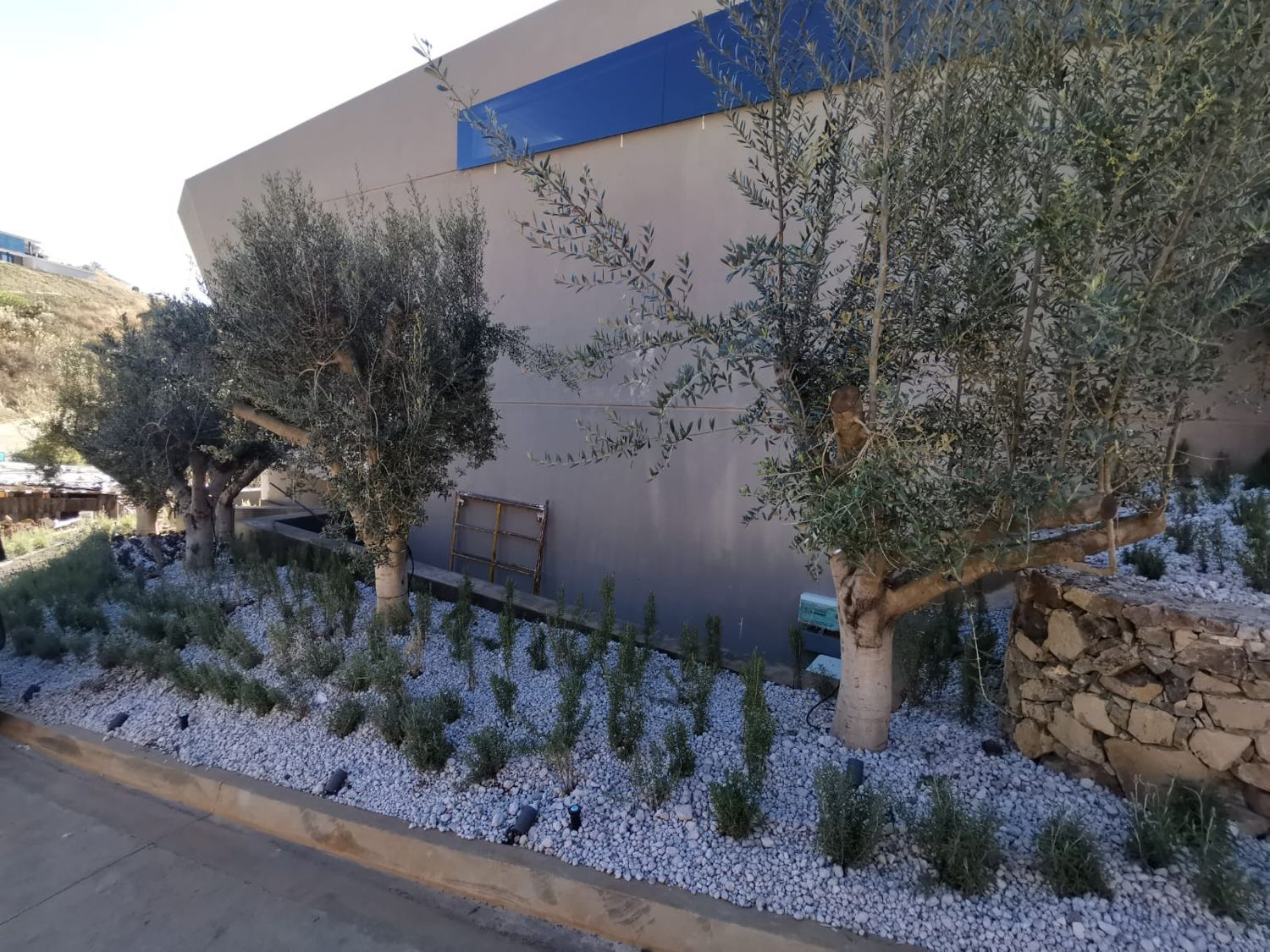 Fachada de casa renovada